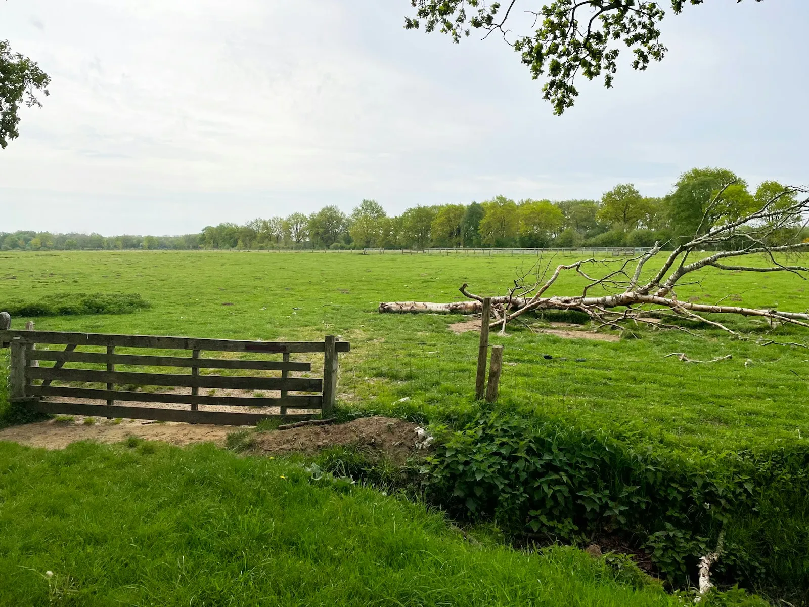 Netcongestie vastgoed Drenthe: wat kopers moeten weten